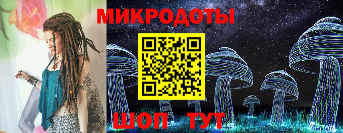Галлюциногенные грибы Cubensis Коломна